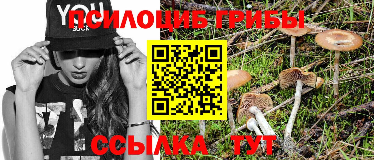 Псилоцибиновые грибы Psilocybe  Псилоцибиновые грибы GOLDEN TEACHER  Лысьва  Вход с VPN 
